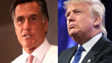 Donald-Mitt