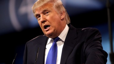 8566721433_c2f788e058_b